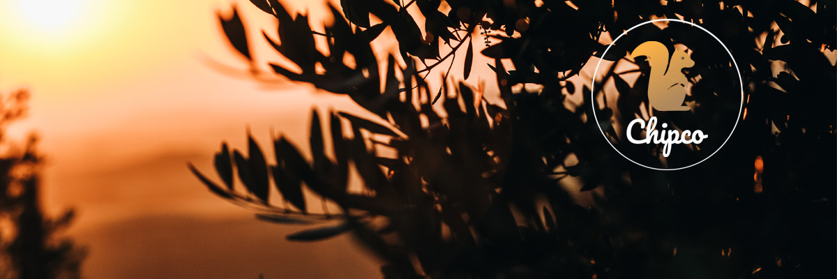 Blog Desc